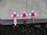 image of grave number 943006